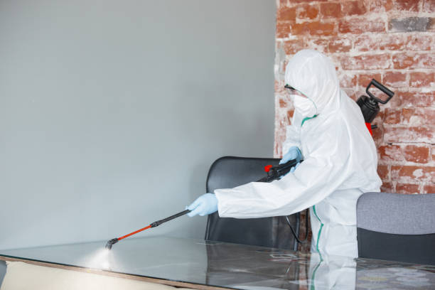 Best Biohazard Mold Removal  in Osage City, KS